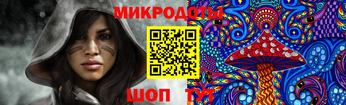 Псилоцибиновые грибы Cubensis Татарск