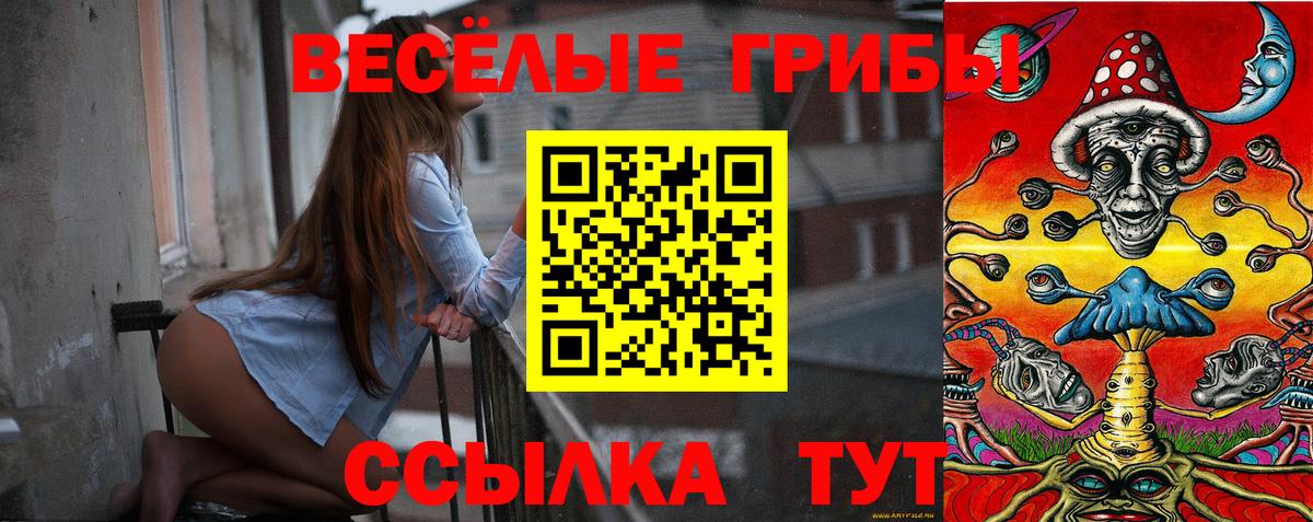 Галлюциногенные грибы MAGIC MUSHROOMS  Вход с VPN  Псилоцибиновые грибы GOLDEN TEACHER  Татарск 